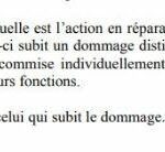 RANARISON Tsilavo NEXTHOPE article 181 de la loi 2003-036 sur les sociétés commerciales